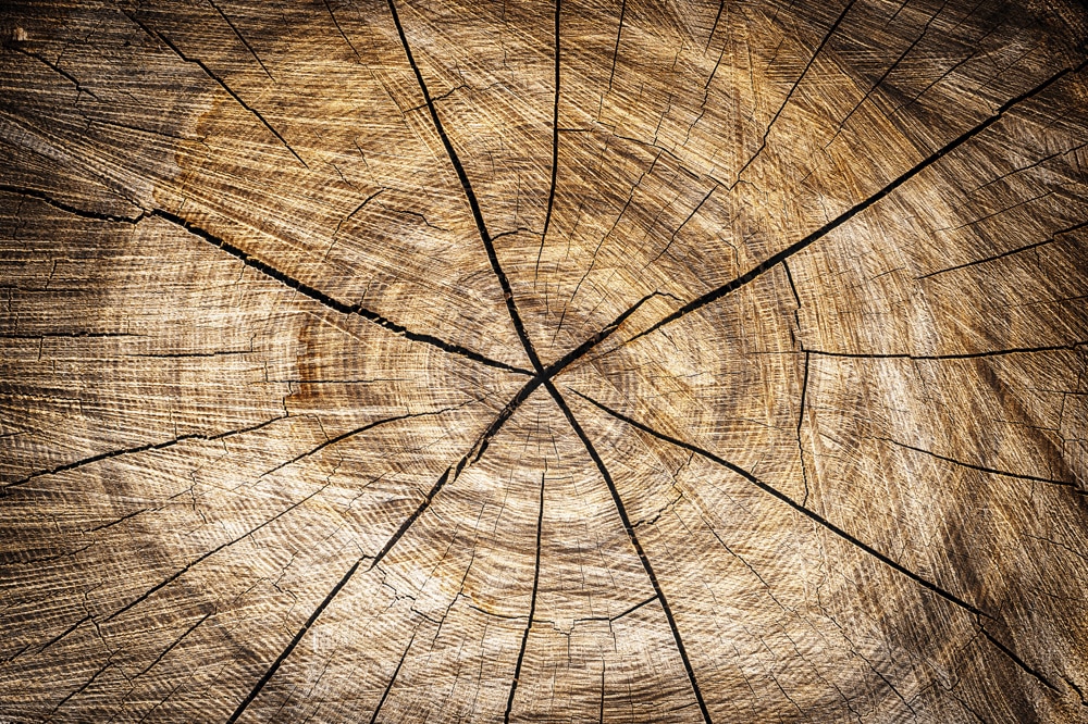 ¿Cuáles son los suelos de madera más duraderos?